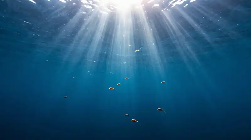 Tiny phytoplankton swarm through sunlit, deep blue ocean waters