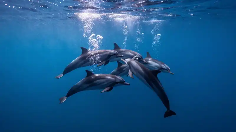 Dolphins swim through shimmering bubbles in a deep blue abyss