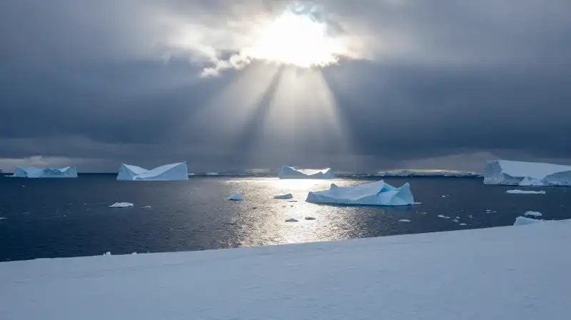 Melting icebergs float in a vast, deep blue ocean