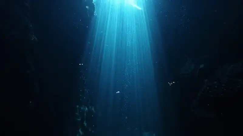 Glowing organisms drift through the dark, deep sea abyss