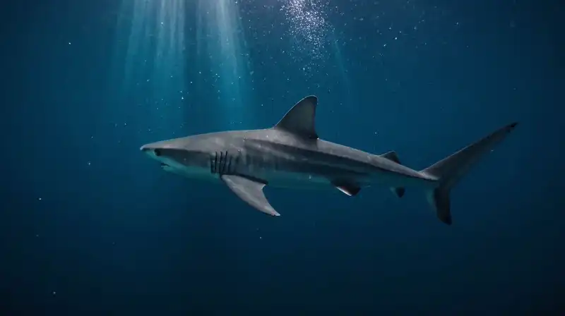 A ghostly shark glides through a dark, glowing abyss