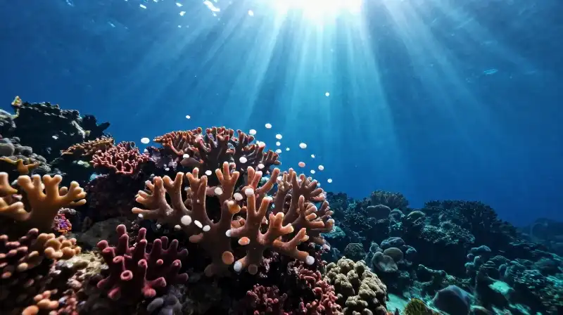 Sunbeams pierce through deep blue water over vibrant coral