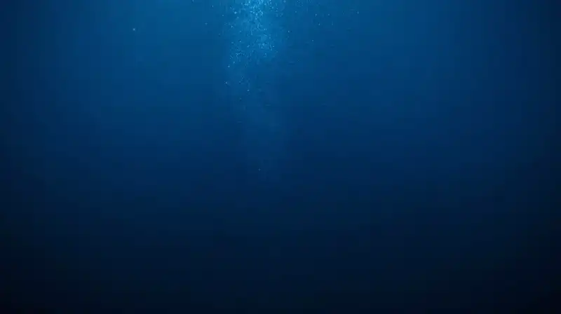 A vast, dark ocean floor filled with glowing blue particles