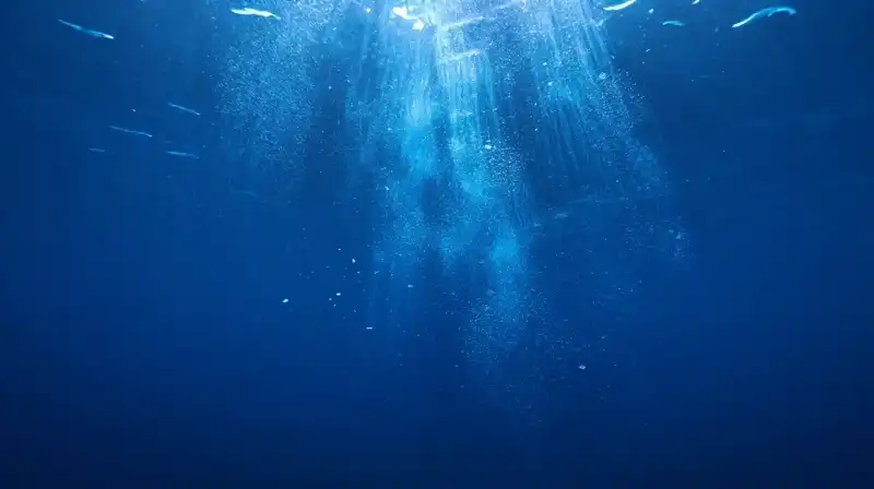 Tiny organisms drift through deep, ethereal blue waters